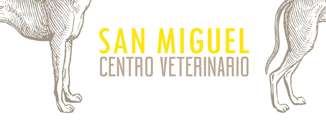 Centro Veterinario San Miguel logo